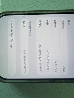 iPhone 17 Pro Max blue