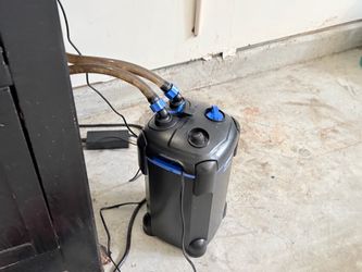 90 gallons tank