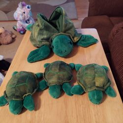 Turtle And 3 Babies 