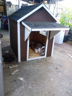Xlarge dog house