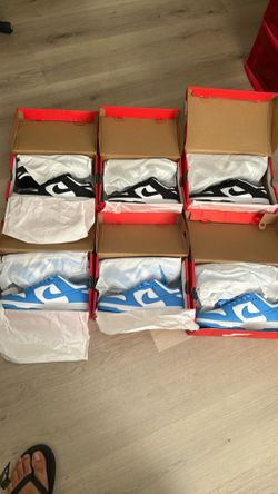 Nike dunks brand new