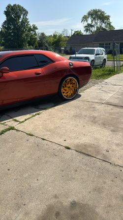 24” Rucci…… Big R Triple Gold