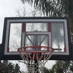 Lifetime  Basketball Court