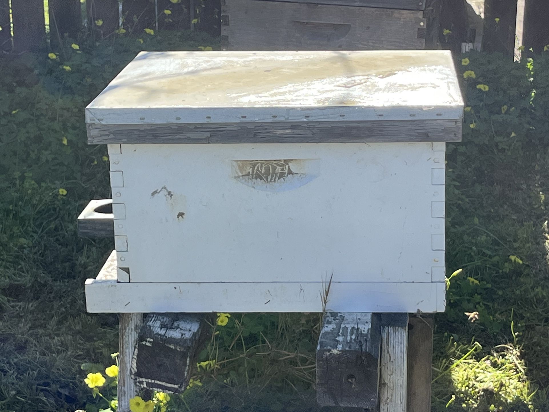 Bee ๐ Hive