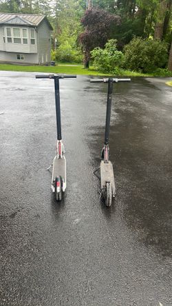 Gotrax electric scooters