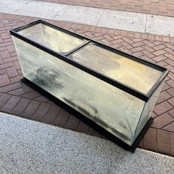 55 Gallons Fish Tank