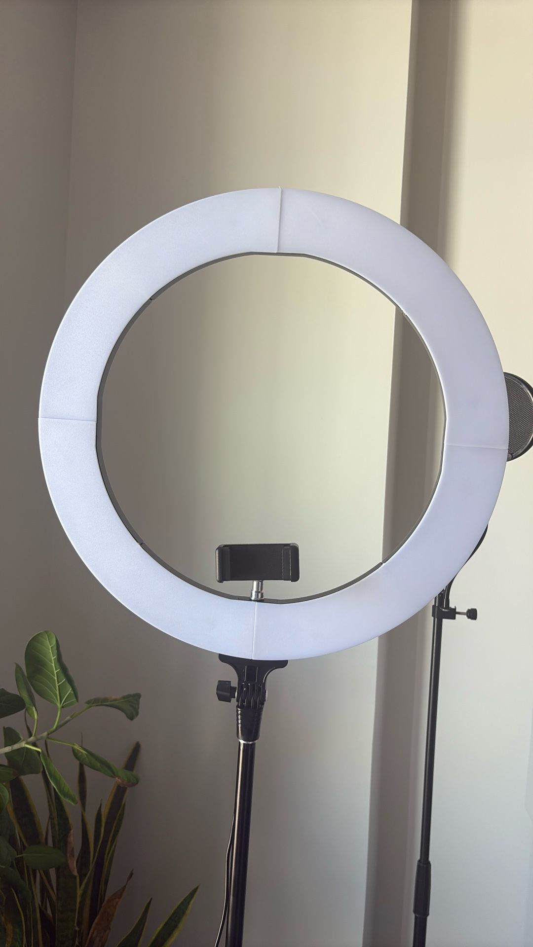 Large Ring Light