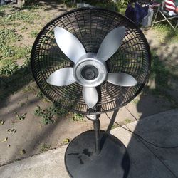 !! Fan Missing The Cover Blows Strong 