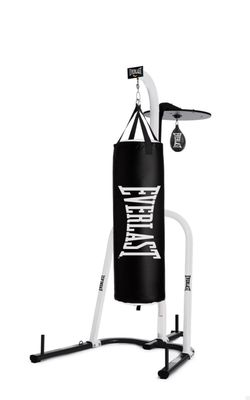 Everlast Boxing Bag with Speed Bag
