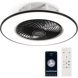 Blameless Ceiling Fan 