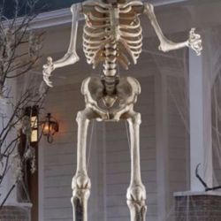 8 Ft Skeleton 