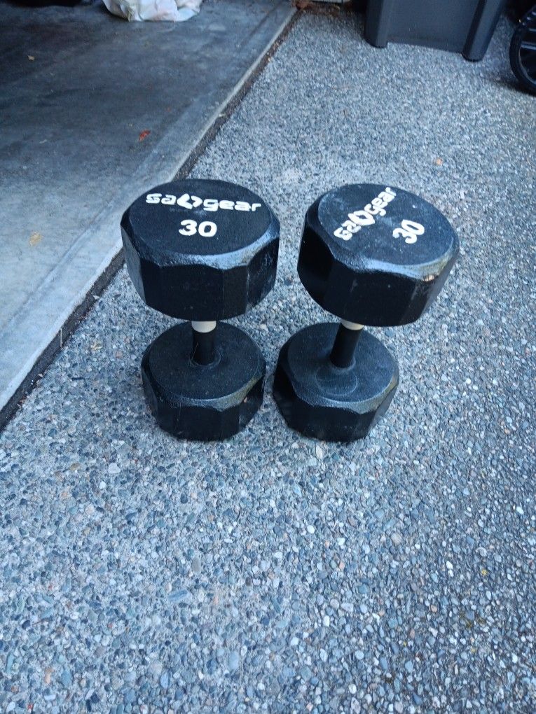 30LB Dumbells