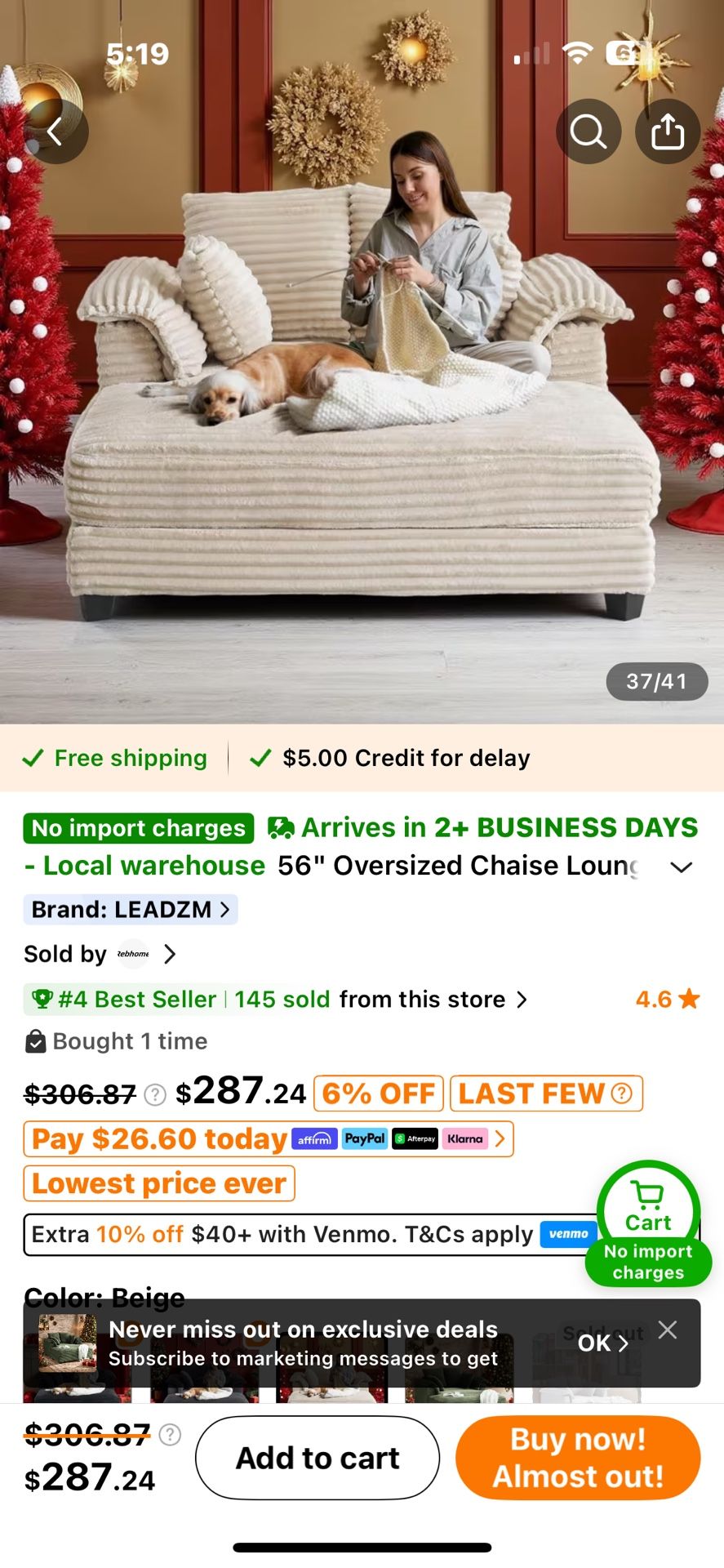 Oversized TEMU chair Brand NEW Put Together