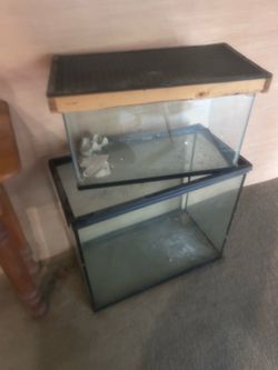 Reptile tanks all for  $35