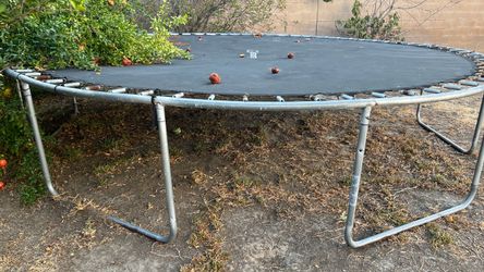 Backyard Trampoline