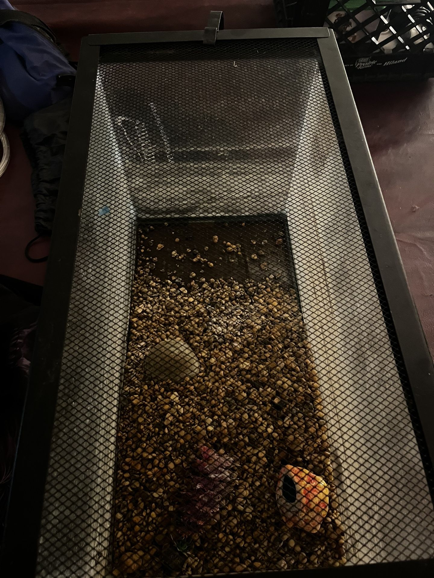 10 Gallon Fish Tank