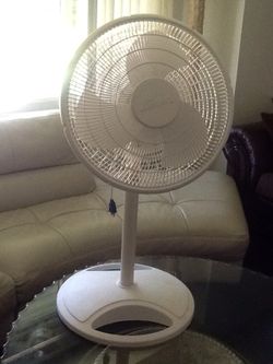 Fan