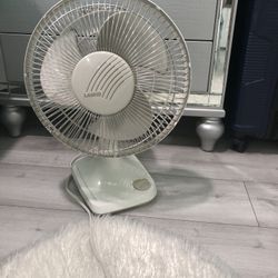 Fan Lasko