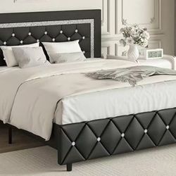 Queen Size Bed 