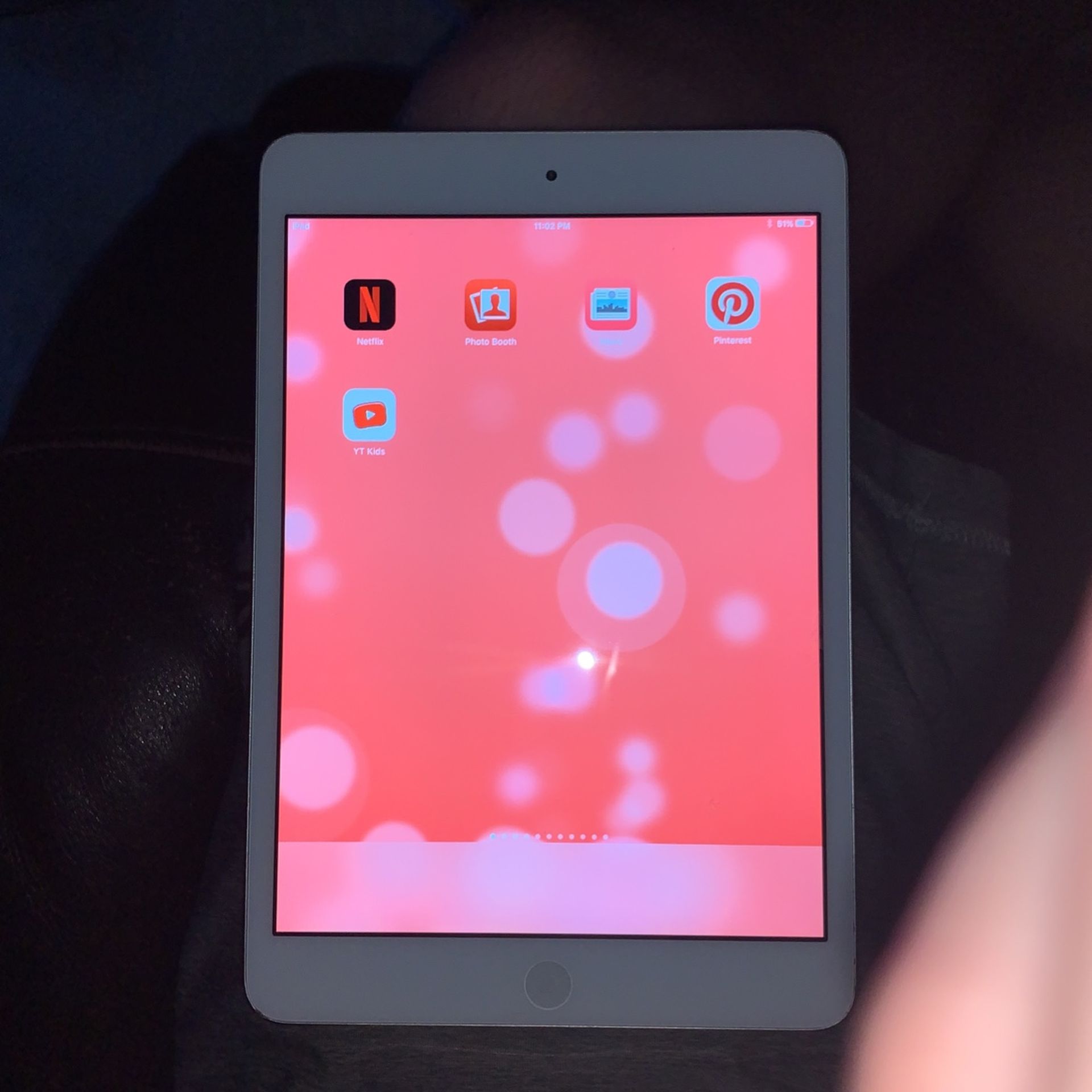 iPad Mini 2 ( 2nd Generation )