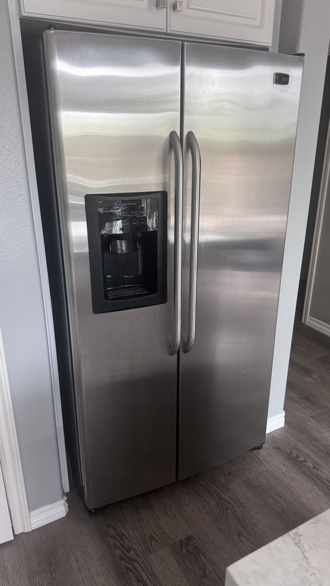 GE Stainless Refrigerator Water Ice Dispenser