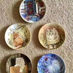 Collectible kitten plates