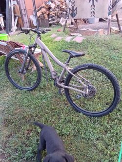 26" CO OP REI