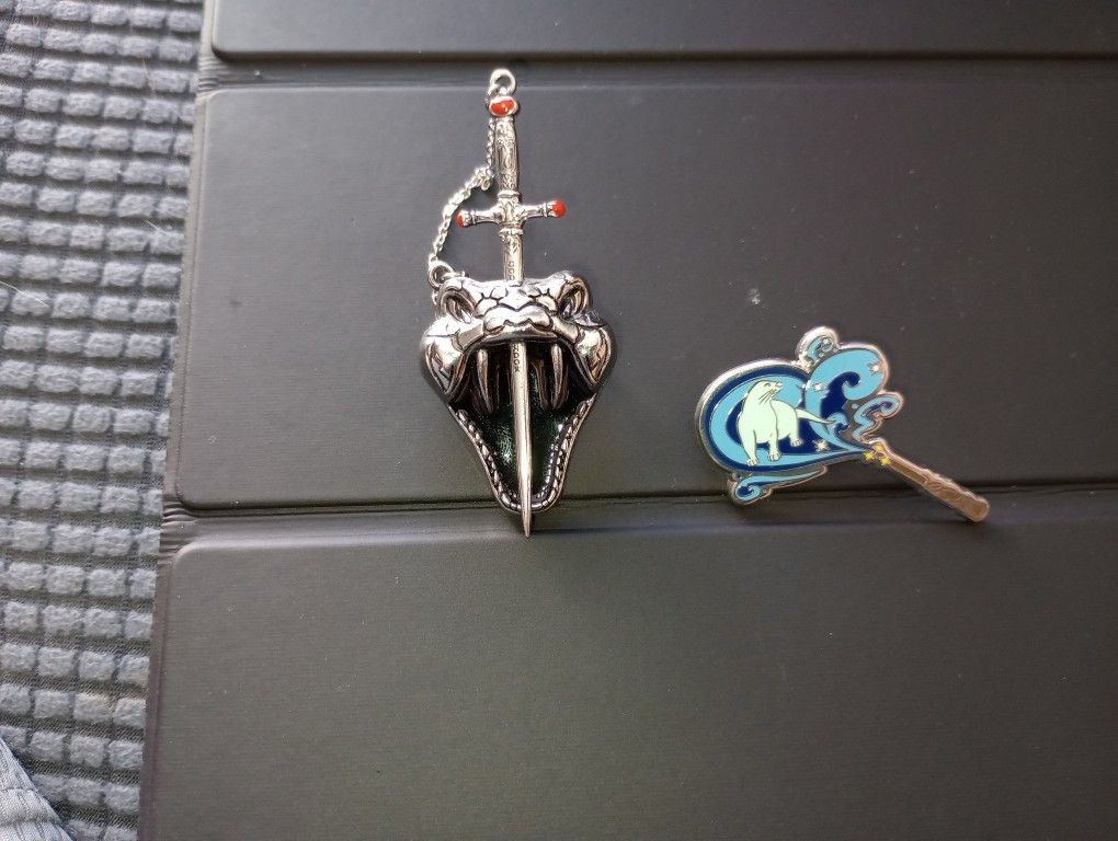 Set of two Harry Potter pins 