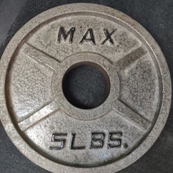 Max Brand 5 Lb Metal Olympic 2-in Hole Dumbbell Weight