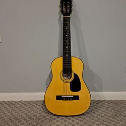 Hohner HAG250