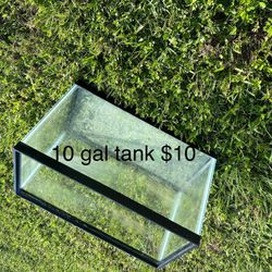 Fish Tanks And Things. Price In Photos