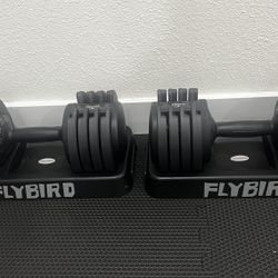 Flybird Adjustable Dumbbell Set 55LB
