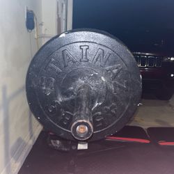 45Ib Lifting Plates (2)