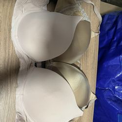 36dd And 38d Bra 