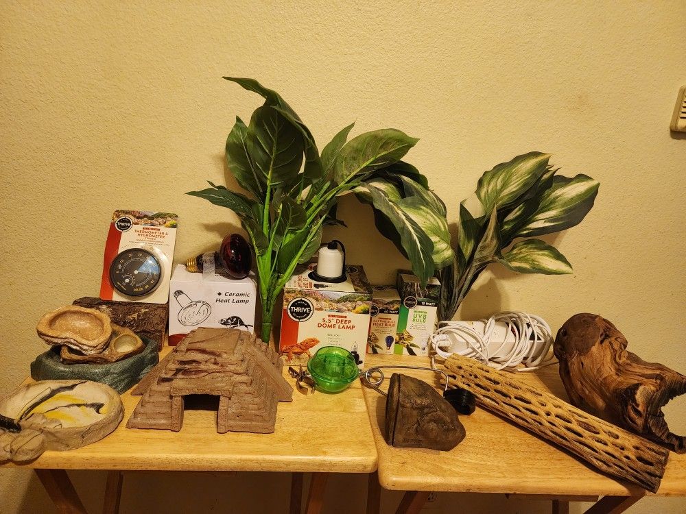 Terrarium Supplies