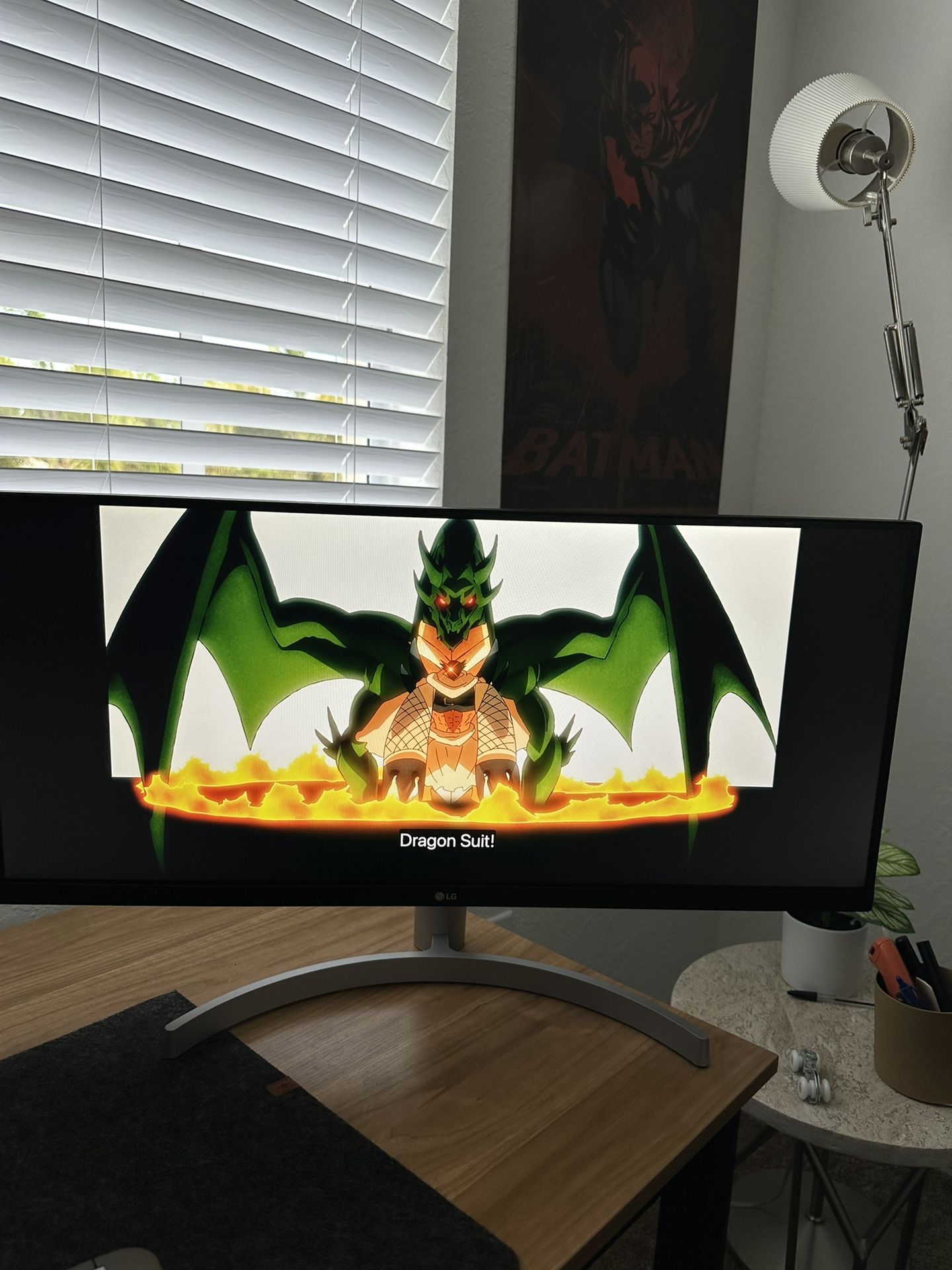 LG UltraWide 29” Monitor