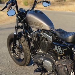 2015 Harley Davidson Forty Eight 1200XL