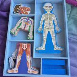Melissa & Doug Magnetic Human Body. Like New. All Piceces