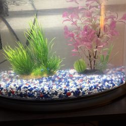 Fish tank, decorations, accessories, and food