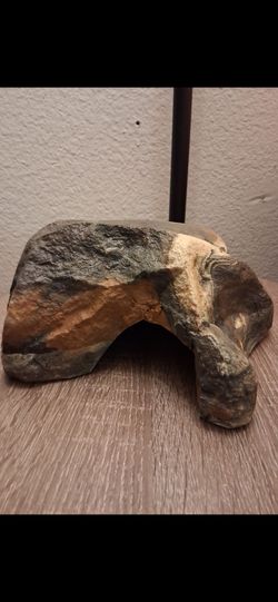 Brand new Reptile decor pickup 3-8:30 pm rainbow/charleston cash only read description