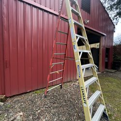 Werner 10 Foot Lean safe Ladder