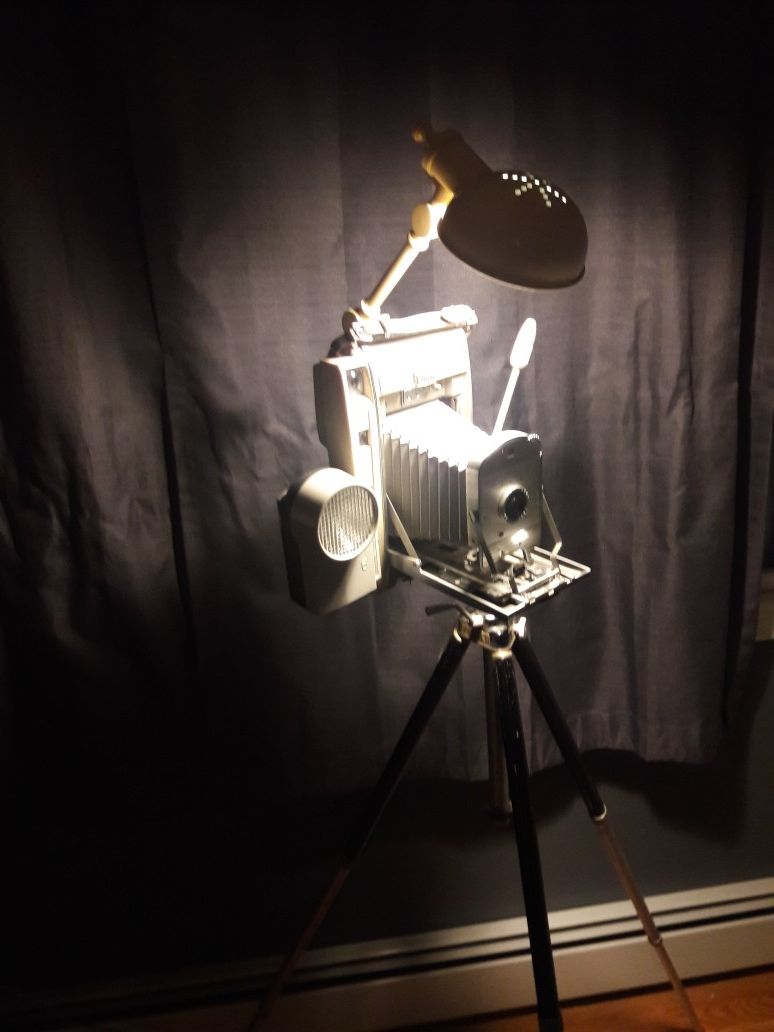 Polaroid floor lamp