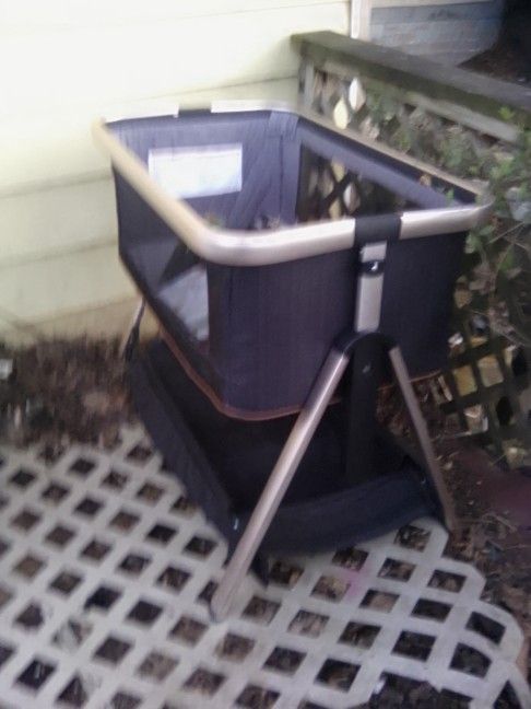 Bassinet & Stroller 