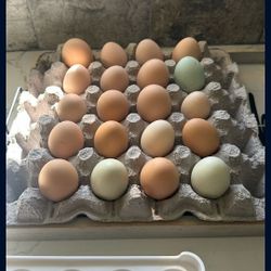 Farm Fresh Eggs / Huevo