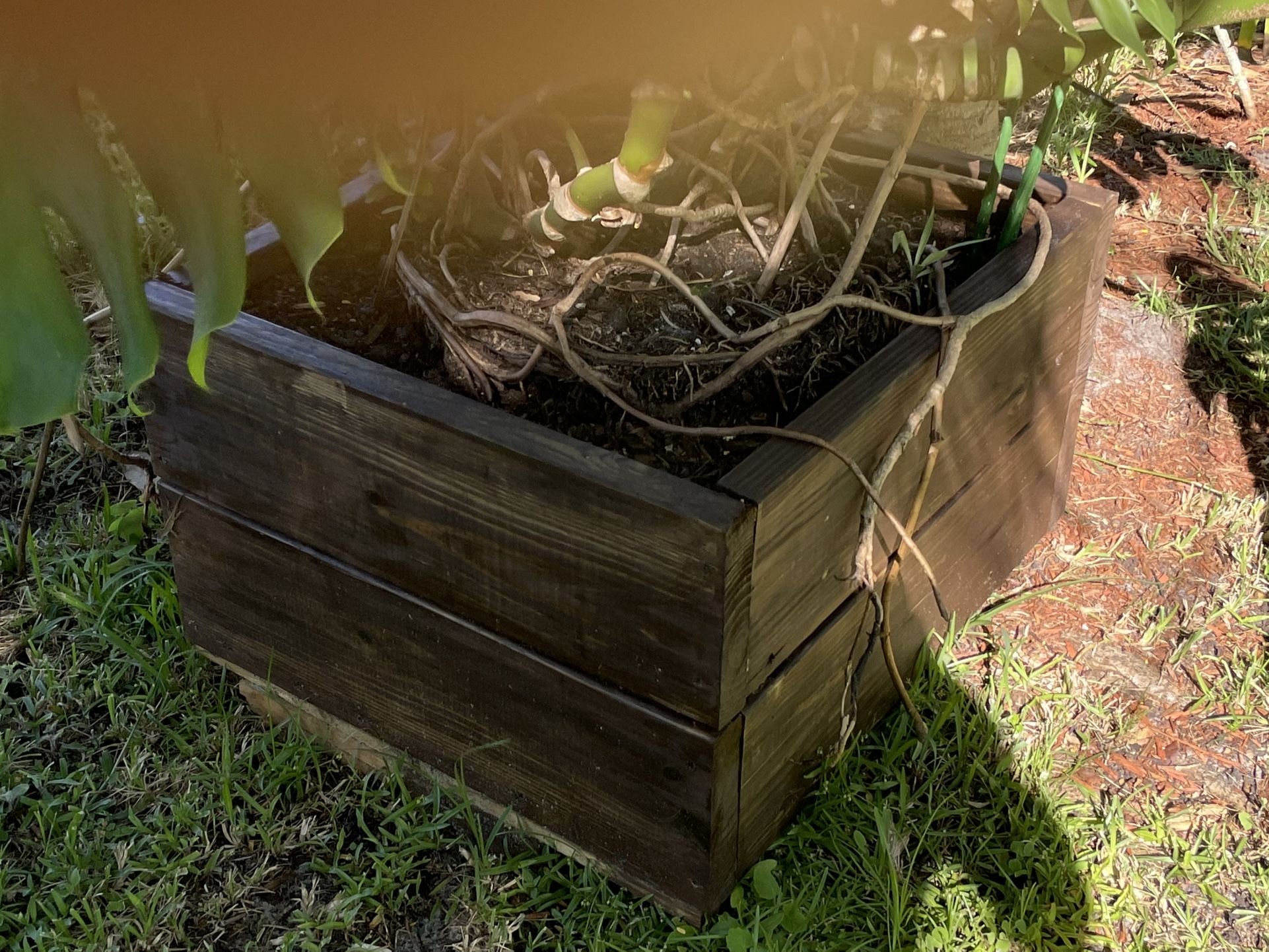 Large planter box 24 x 24 x 16” high