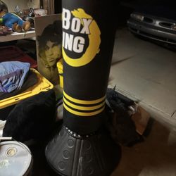 Standing Punching Bag