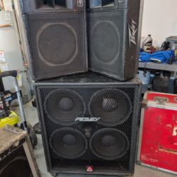 DJ  or Band Speakers