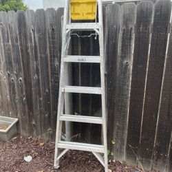 Werner 6 Foot Metal Laddee