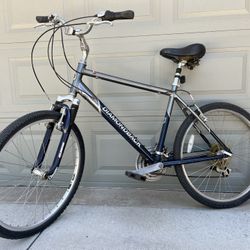 Diamondback Commuter Bike (Size L)