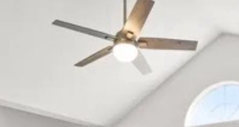Ceiling Fan With Light